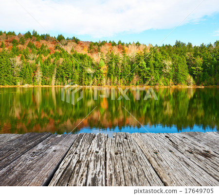 Pond in White Mountain National Forest Pond in White Mountain National Forest 17649705