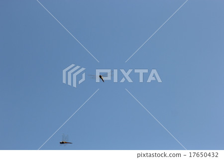 Usbakitombo fly 03 17650432