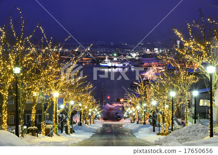 Night view of Hakodate / Yawatazaka 17650656