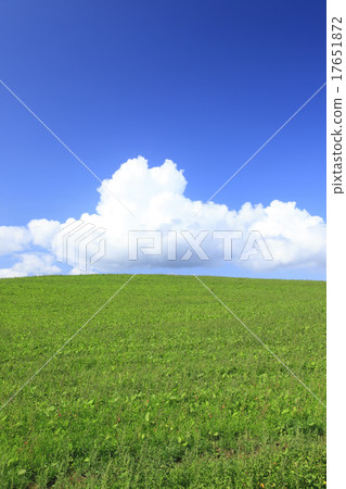 北海道美瑛町草甸和出云云 北海道美瑛町草甸和出云云 17651872