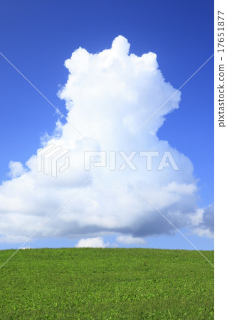 北海道美瑛町草甸和出云云 17651877