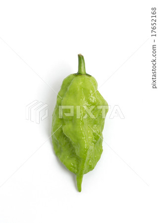 Capsicum joloquia Capsicum joloquia 17652168