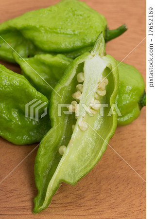 辣椒joloquia 辣椒joloquia 17652169