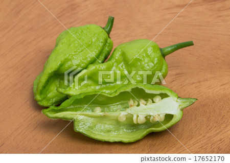 Capsicum joloquia Capsicum joloquia 17652170