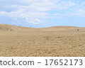 Tottori sand dunes 17652173