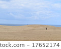 Tottori sand dunes 17652174
