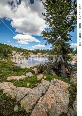 Scenic view along the Beartooth Highway in Montana 17652462