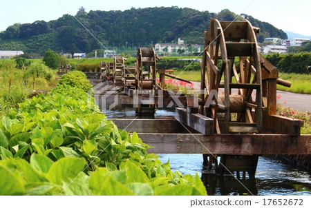 麻三村 麻三村 17652672