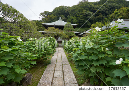 Buddhist monuments of Zuisenji and the paving stones of the approach, the ancient capital Kamakura Buddhist monuments of Zuisenji and the paving stones of the approach, the ancient capital Kamakura 17652867