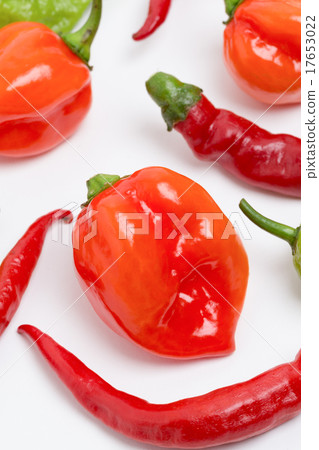 Raw pepper Habanero, Joloquia, red pepper Raw pepper Habanero, Joloquia, red pepper 17653022