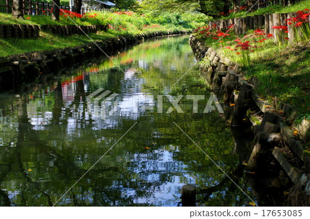 Higanbana在銀川川川品川河 Higanbana在銀川川川品川河 17653085
