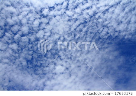 Sheep clouds Sheep clouds 17653172