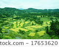 Rice paddy of Star Pass 17653620