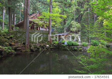 Hikarinji寺 17654501