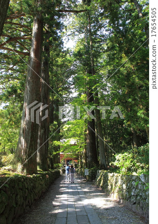 Koenji Temple Suginami Kamien Pathway Koenji Temple Suginami Kamien Pathway 17654505