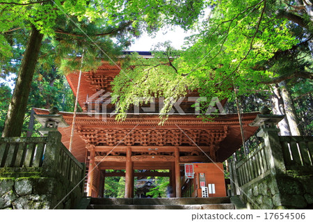 Kwon Maesamon Kwon Maesamon 17654506