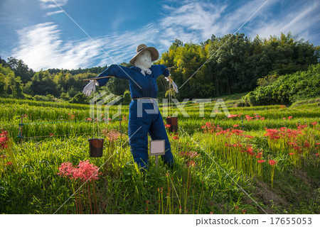 Nara Asuka Village Higanbana和Scarecrow Road 17655053