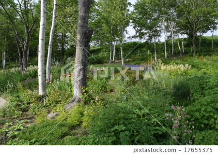 休息的花園 17655375