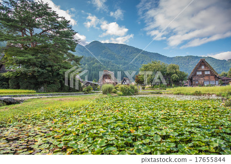 Shirakawago Shirakawago 17655844
