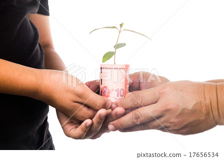 Presenting plant growing from Malaysia Ringgit 17656534