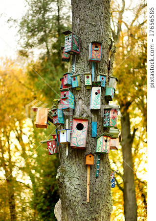 Lots of nesting boxes on a tree 17656586