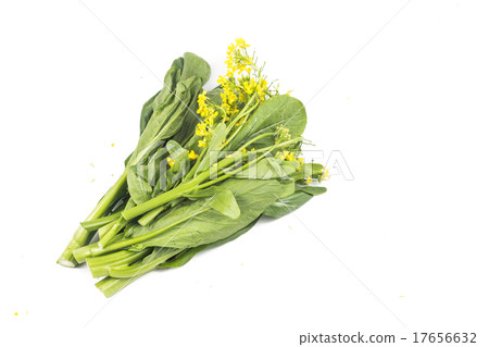Bunch of floral choy sum green leafy vegetable  17656632