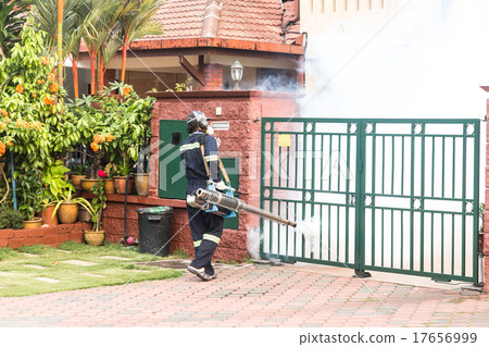 Worker fogging insecticides to kill aedes mosquito Worker fogging insecticides to kill aedes mosquito 17656999