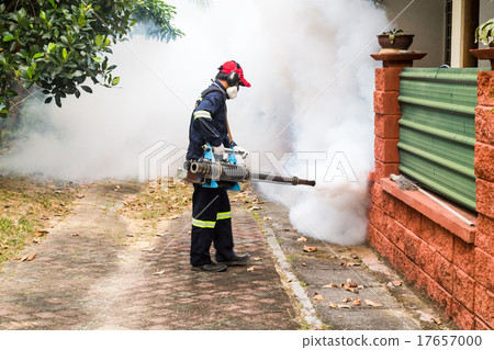 Worker fogging insecticides to kill aedes mosquito Worker fogging insecticides to kill aedes mosquito 17657000