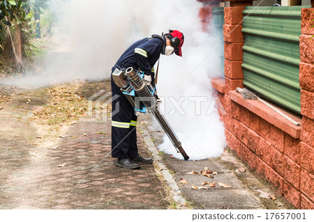 Worker fogging insecticides to kill aedes mosquito Worker fogging insecticides to kill aedes mosquito 17657001