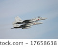 老鷹 鷹 機場秀 17658638
