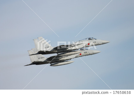 老鷹 鷹 機場秀 17658638