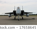 機場秀 老鷹 鷹 17658645