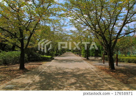 Linan Park in Hachioji City, Tokyo Linan Park in Hachioji City, Tokyo 17658971