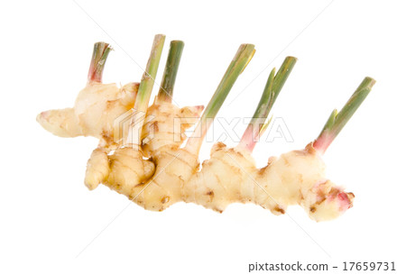 Ginger root on the background Ginger root on the background 17659731