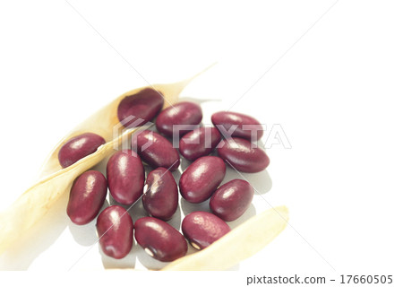 Gold beans Gold beans 17660505