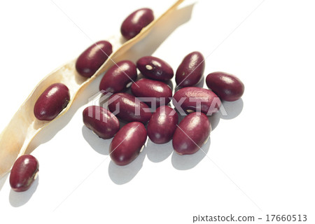 金豆 金豆 17660513