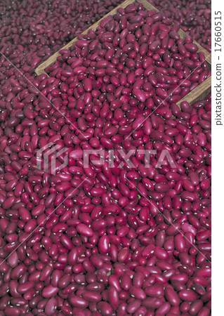 Gold beans 17660515