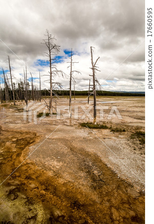Fountain Paint Pot in Yellowstone National Park 17660595