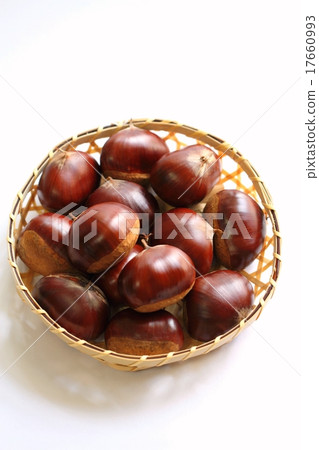 Chestnut Chestnut 17660993