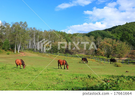 Kiso Ma的村莊 Kiso Ma的村莊 17661664