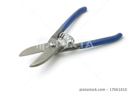 Snips 17661810