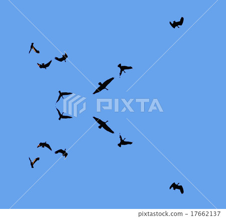 Flying vultures 17662137