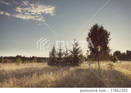 Sunset over the meadow with Instagram style filter 17662365