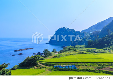 諾托半島諾託海岸在夏天 17664864