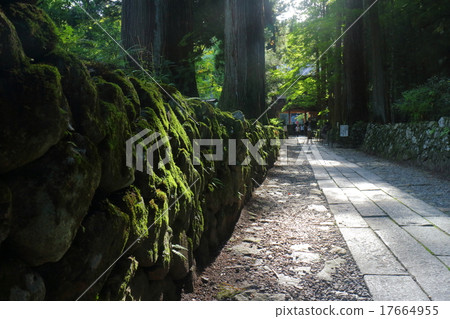 Koenji Temple Suginami Kamien Pathway 17664955