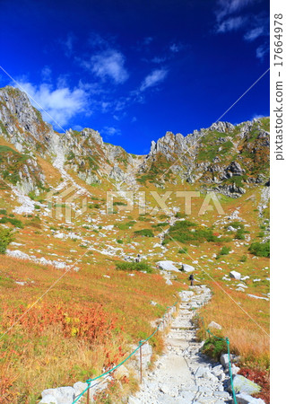 Senjakikikaru 17664978