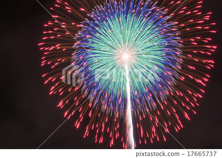 Quadruple core change chrysanthemum with rising song 17665737