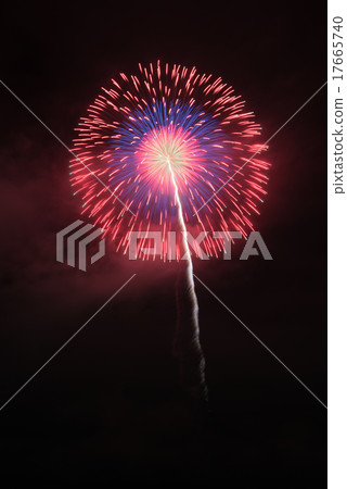 高架三芯改菊花 17665740