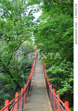 Morning bridge 17666158