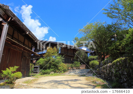 Wife Hall, Masumi 17666410